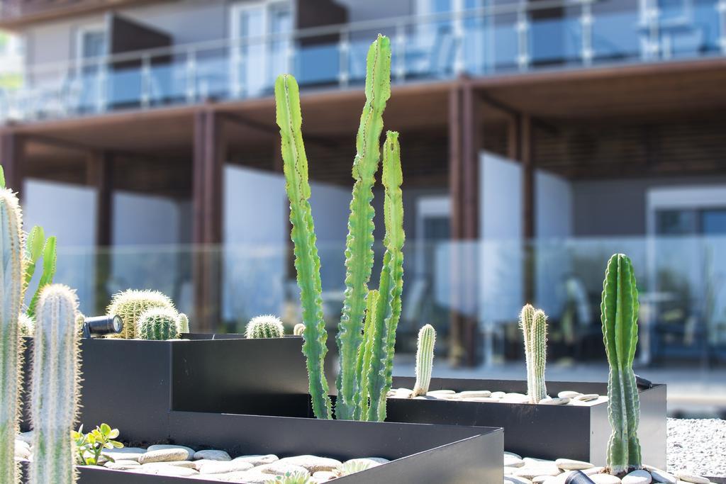 Ionian Eye Design Studios & Spa Mesongí المظهر الخارجي الصورة